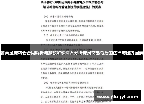 各类足球转会合同解析与条款解读深入分析球员交易背后的法律与经济因素